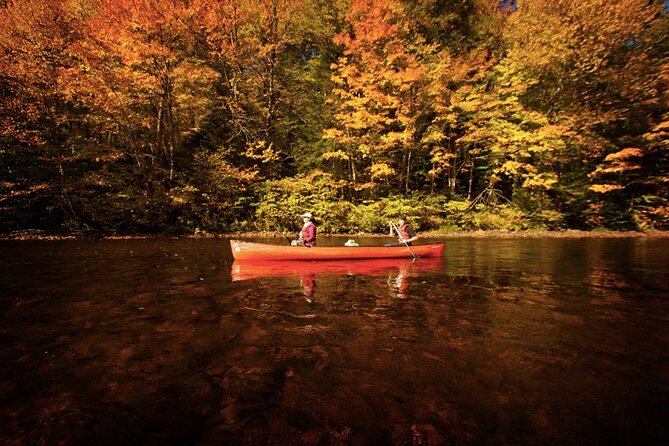 Kayak/Paddleboard Rouge River - Self Guided Descent - Choosing Your Craft: Kayak, Canoe, or Paddleboard