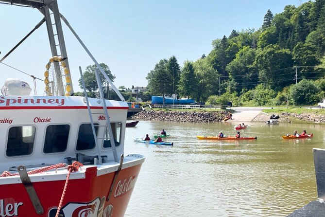 Kayak the Bay of Fundy Sea Caves - Kayaking the Bay of Fundy Sea Caves: what you are really signing up for