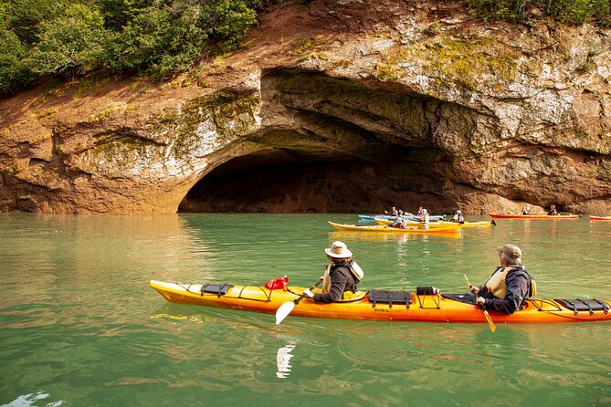 Kayak the Bay of Fundy Sea Caves - Price and what you truly get for $76.26 per person