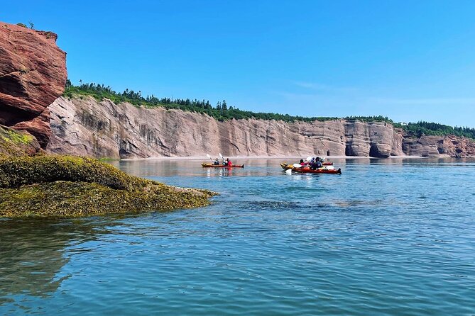 Kayak the Bay of Fundy Sea Caves - Guides in English, private group vibes, and what makes the info feel usable