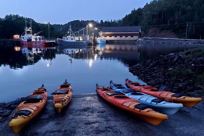 Kayak the Bay of Fundy Sea Caves - Should you book this Bay of Fundy sea caves kayak tour?