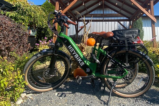 Kelowna E-Bike Bee Tour, Tastings, Organic Lunch & Audio Guide - Meadow Vista Honey Wines: tastings plus a short audio tour of hives