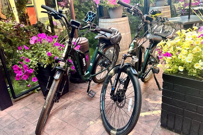 Kelowna E-Bike Bee Tour, Tastings, Organic Lunch & Audio Guide - Honey wines, ages, and what the included tasting really means