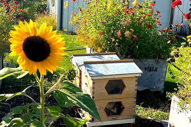 Kelowna E-Bike Bee Tour, Tastings, Organic Lunch & Audio Guide - The e-bike setup: what you get and why it helps on a real tour