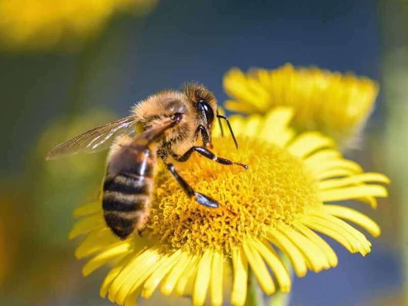 Kelowna: E-Bike Bee Tour w/ Tastings, Lunch, and Audioguide - Key tour takeaways
