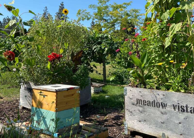 Kelowna: E-Bike Bee Tour w/ Tastings, Lunch, and Audioguide - Who Should Book This Kelowna E-Bike Bee Tour