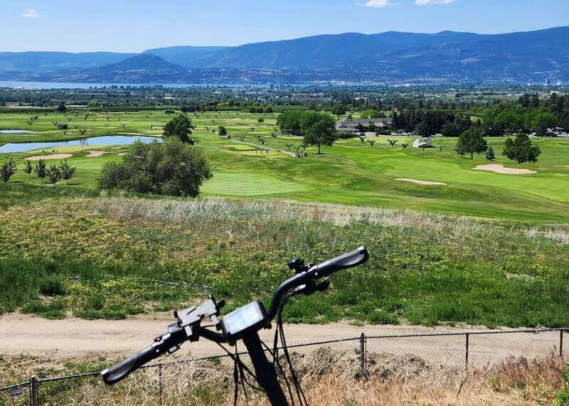 Kelowna: E-Bike Bee Tour w/ Tastings, Lunch, and Audioguide - The Bees Lesson: 20 Minutes of Audio in the Hives and Gardens