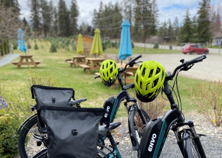 Kelowna: E-Bike Bee Tour w/ Tastings, Lunch, and Audioguide - Service Style at Lakeside Eco-Sports and Meadow Vista