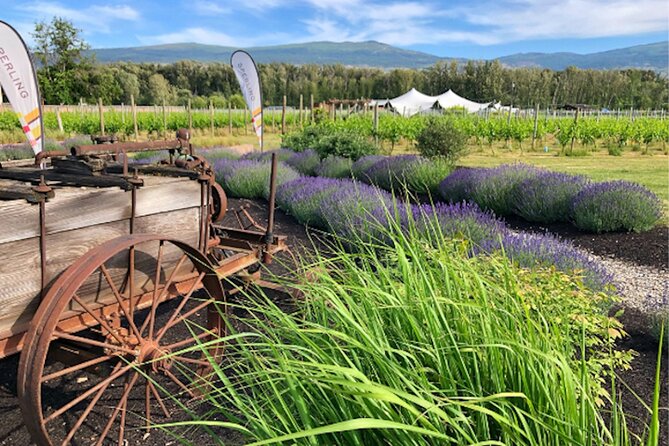Kelowna Guided E-Bike Wine Tour with Tastings and Okanagan Lunch - Sperling Vineyards: organic wines from old vines and high elevation slopes