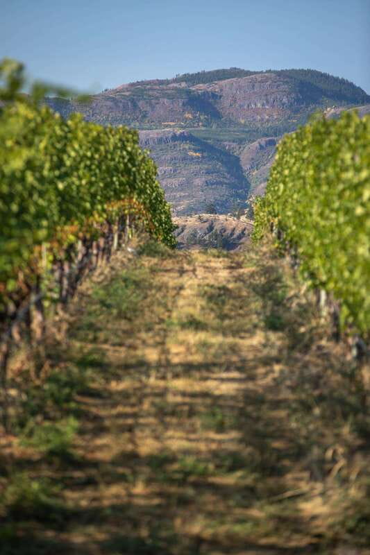 Kelowna: Lake Country Full Day Guided Wine Tour - The real value question: is $138 a fair deal for 6 hours?