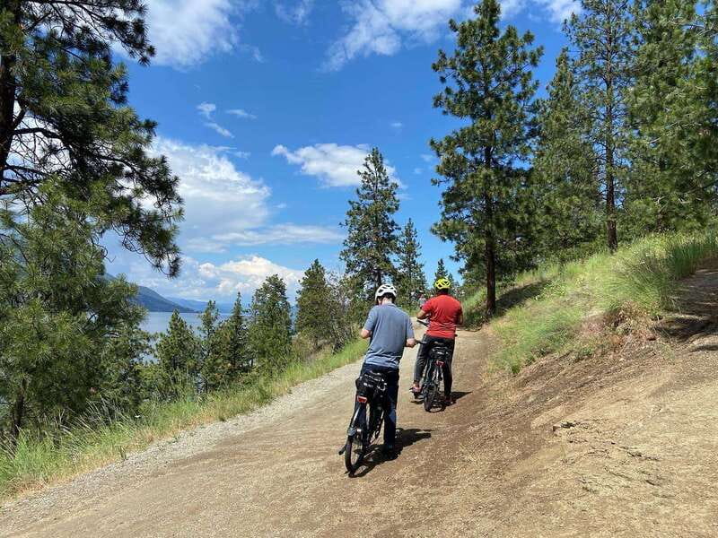 Kelowna: Okanagan Lake Guided E-Bike Tour with Picnic - Price and value: what $160 buys you, and what you should compare it to