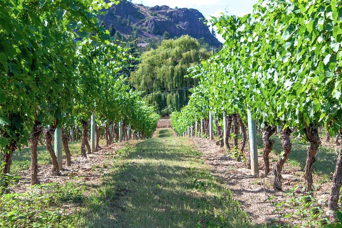 Kelowna or West Kelowna Afternoon Sightseeing Wine Tour - Should you book this Kelowna or West Kelowna afternoon wine tour?