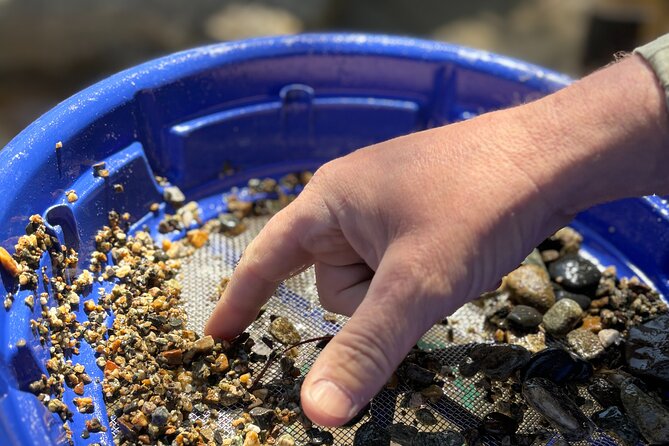 Kelowna Scenic Canyon Gold Panning Experience - Gold Panning at Scenic Canyon Regional Park, Kelowna