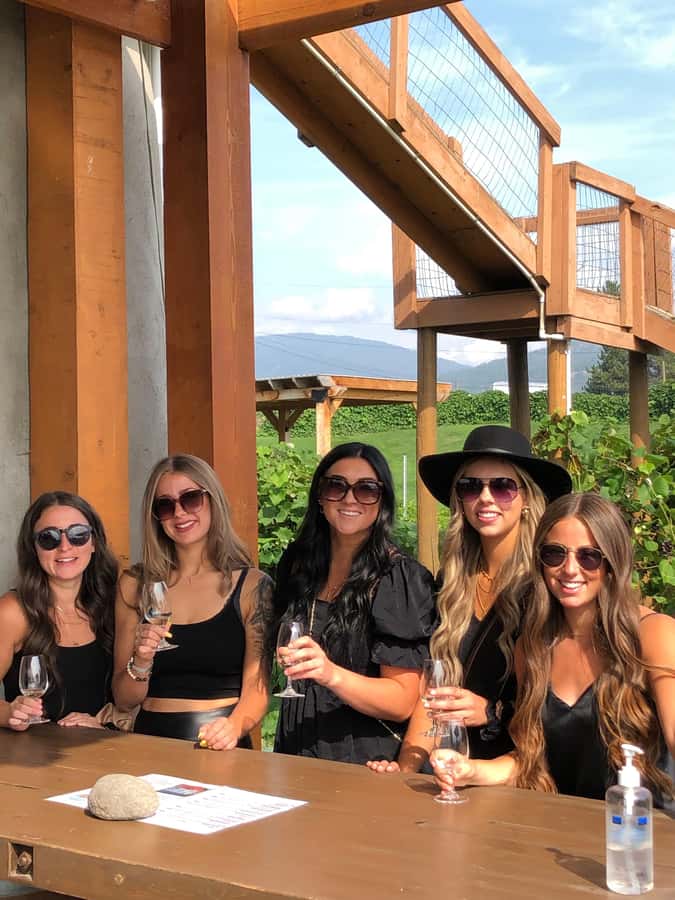 Kelowna: West Kelowna Half Day Guided Wine Tour - What “16 to 20 tastings” really means for your palate