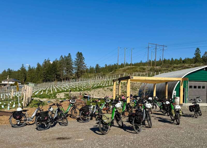 Kelowna: Wine Tasting by E-bike, Smartphone Guide & Lunch - Key things to know before you go