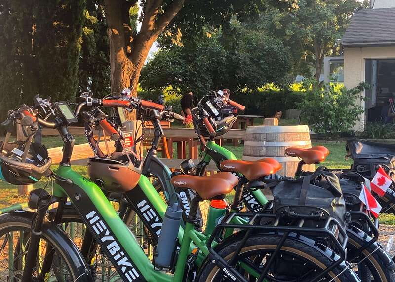 Kelowna: Wine Tasting by E-bike, Smartphone Guide & Lunch - Who should book this e-bike wine tour, and who should skip