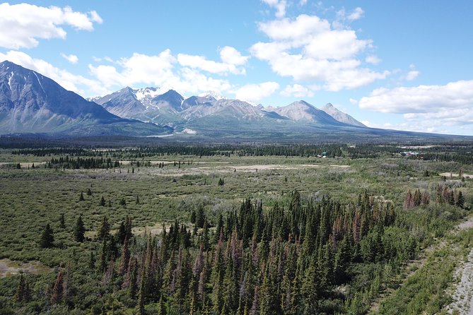 KLUANE NATIONAL PARK - Day-Trip from Whitehorse - Flight Over the Park: Seeing Non-Polar Icefields the Right Way