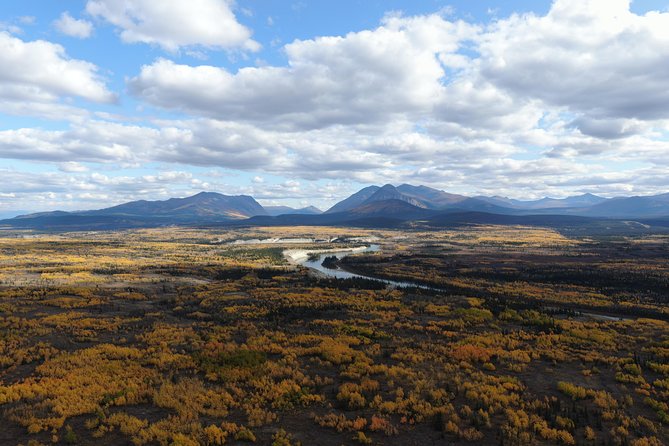 KLUANE NATIONAL PARK - Day-Trip from Whitehorse - Wildlife Spotting, With the Right Mindset for a Long Day
