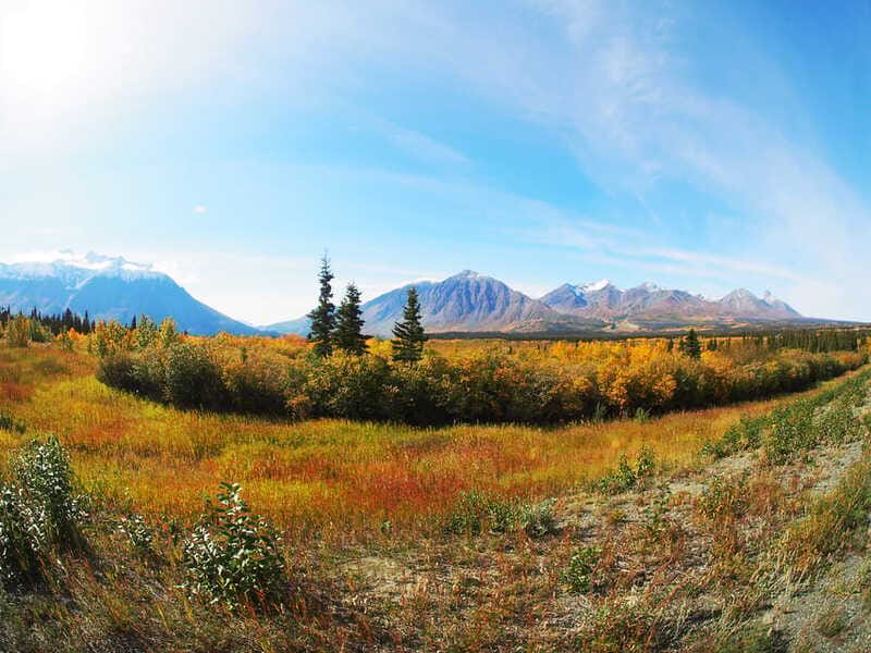 Kluane National Park: Full Day Tour - The Alaska Highway drive: your best chance for roadside wildlife