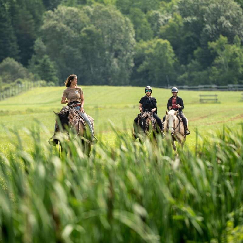 La Bleuetière: A charming introduction to horseback riding - La Bleuetière in Charlevoix: what this ride really offers