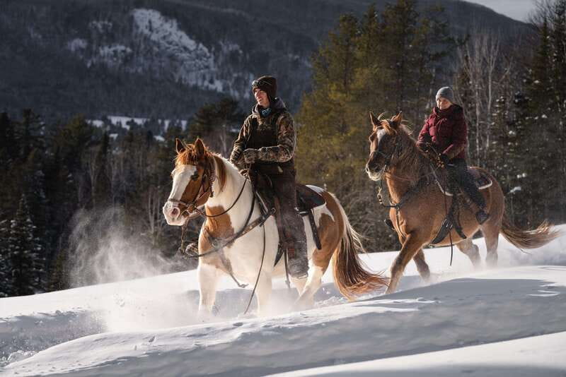 La Bleuetière: A charming introduction to horseback riding - The guide’s talk on flora and fauna: why it matters
