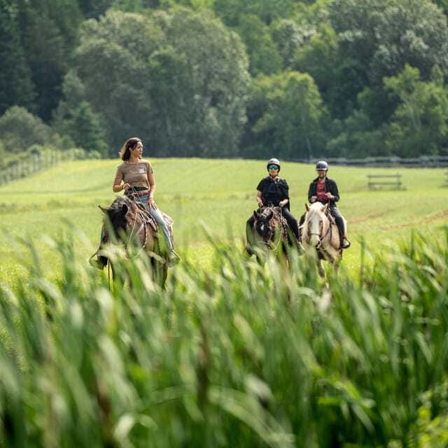 La Bleuetière: A charming introduction to horseback riding - Memorable moments and photos: small pauses, big payoff