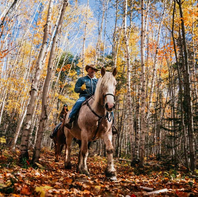 La Bleuetière: A charming introduction to horseback riding - The horses and your guide: how a beginner stays confident