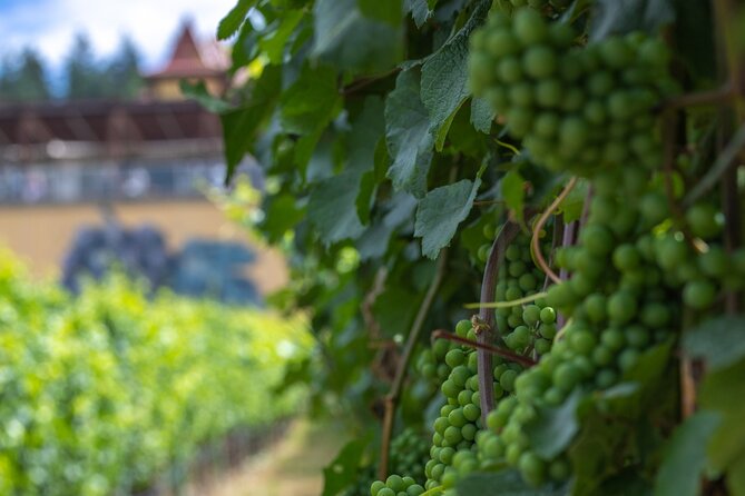 Lake Country Half Day Guided Wine Tour With 4 Wineries - Stop 3: Peak Cellars for Panoramic Okanagan Views