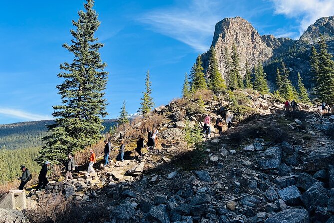 Lake Louise and Moraine Lake Small Group Half Day Tour - What to know about meals, walking, and timing