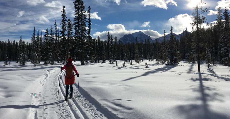 Lake Louise: Cross Country Skiing Lesson with Tour - Afternoon guided tour: building confidence in real conditions