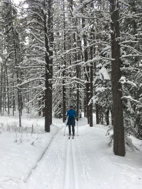 Lake Louise: Cross Country Skiing Lesson with Tour - Safety briefing and orientation: the difference between trying and learning