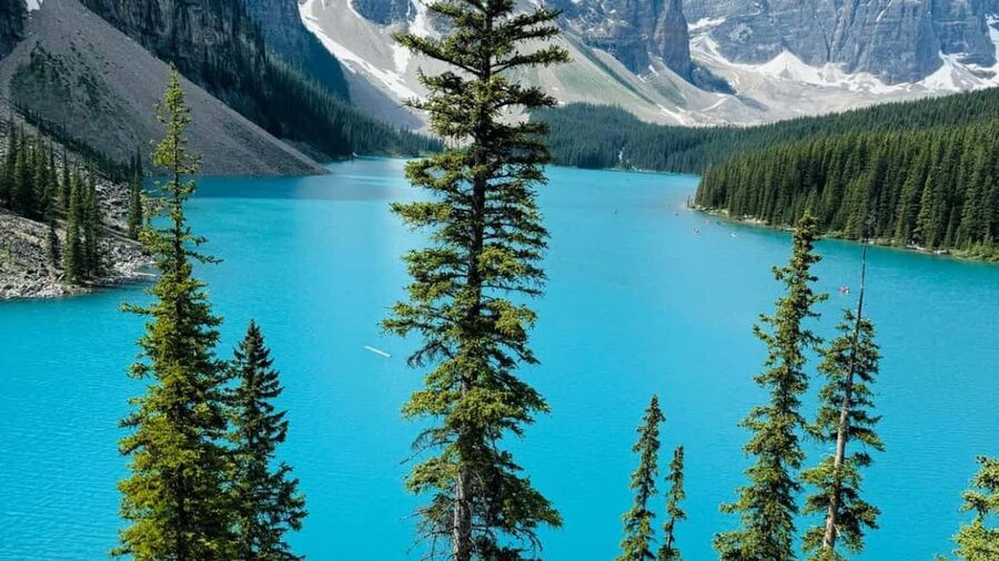 Lake Louise, Emerald Lake, Minnewanka Cruise & Banff Town - Lake Louise: the Jewel of the Rockies, plus Fairmont Chateau and seasonal canoe time
