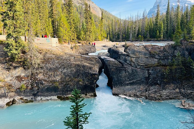 Lake Louise, Moraine/Bow, Emerald & Peyto - 4 Lakes in Banff - Emerald Lake: 30 Minutes That Can Still Feel Like a Full Stop