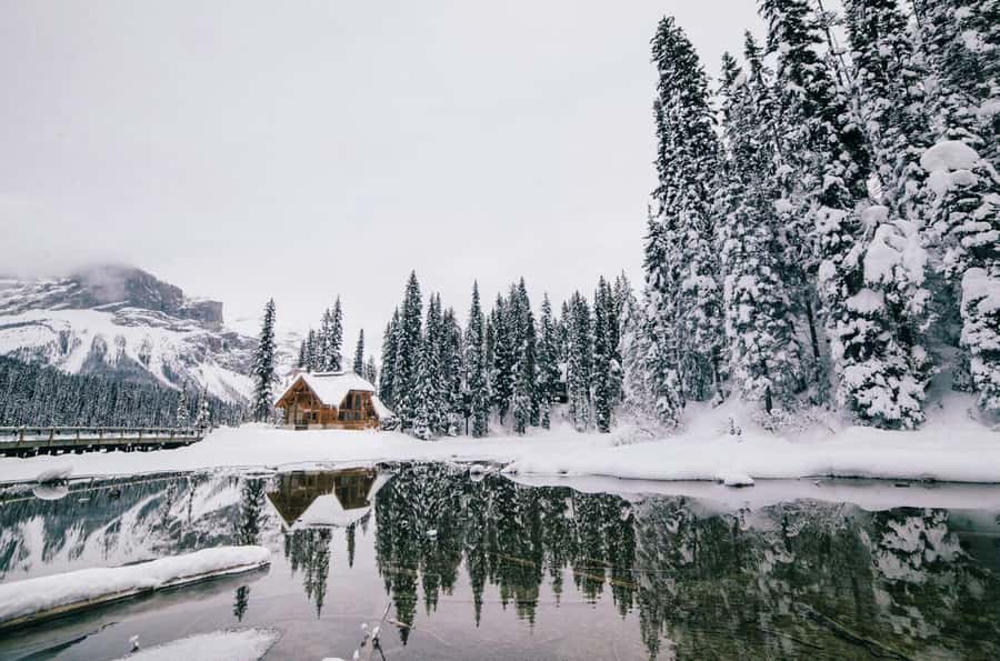 Lake Louise, Moraine, & Emerald: From Calgary/Canmore/Banff - Why This One-Day Route Works Better Than DIY