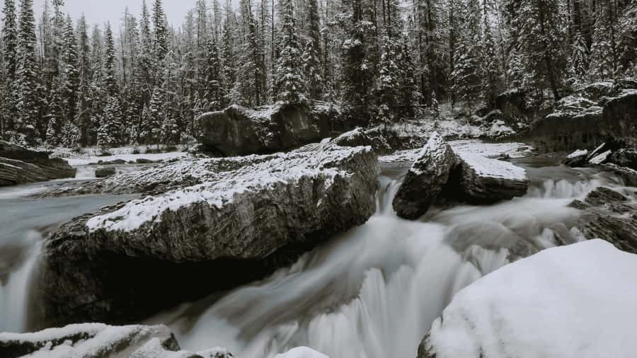 Lake Louise, Moraine, & Emerald: From Calgary/Canmore/Banff - Guides Who Improve Your Photos and Your Day