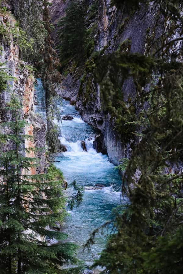 Lake Louise,Moraine,Emerald Lake,Johnston Canyon & BanffTour - Emerald Lake and Banff highlights: rounding out the big-view day