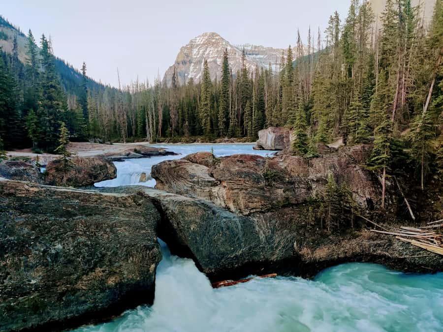 Lake Louise,Moraine,Emerald Lake,Johnston Canyon & BanffTour - Should you book this Lake Louise, Moraine, Emerald Lake, Johnston Canyon and Banff tour?