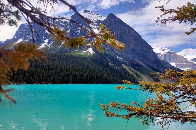 Lake Louise Moraine Lake Johnston Canyon 1.5h Half Day Tour - Lake Louise: The 1 Hour to 1 Hour 15 Minute Reality Check