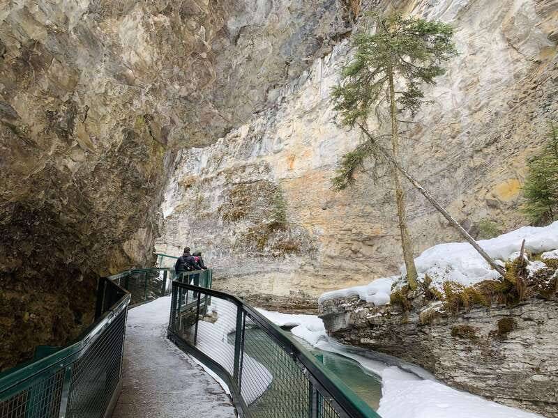 Lake Louise, Peyto Lake, Johnston Canyon & Icefields Parkway - What is included for $76: where your money really goes