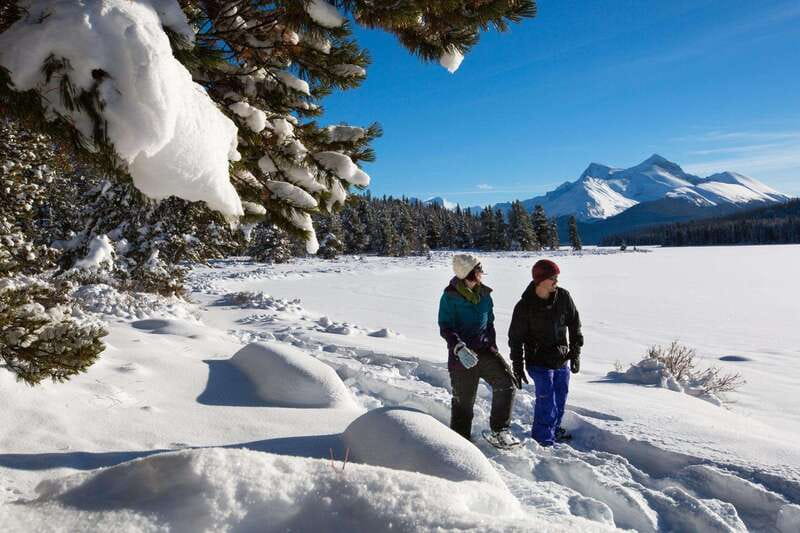Lake Louise, Peyto Lake, Johnston Canyon & Icefields Parkway - The Icefields Parkway: one scenic drive, two famous glacial stops