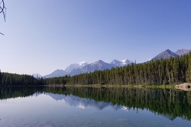 Lake View Tour-Lake Moraine, Louise, Emerald, Peyto, Vermillion - Peyto Lake: the turquoise hit and why the view is best from above