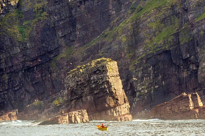 Late Season Puffin & Scenic Coastal Cruise - A Catamaran Ride Built for Puffin Spotting