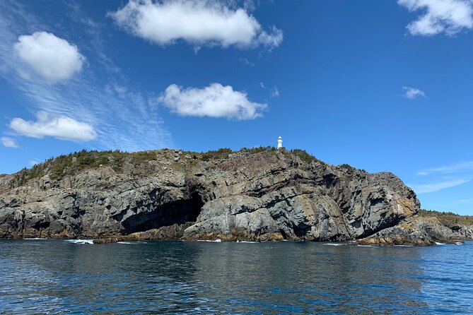 Late Season Puffin & Scenic Coastal Cruise - Price, value, and how the shuttle affects your day