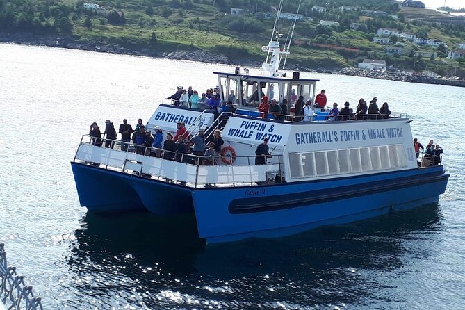 Late Season Puffin & Scenic Coastal Cruise - Before you even leave port: Gatherall’s and getting oriented fast