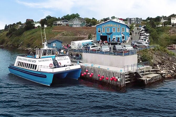 Late Season Puffin & Scenic Coastal Cruise - Comfort tips for a 90-minute cruise in Newfoundland weather