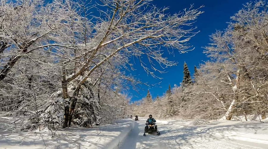 Laurentians: Snowmobile Guided Tour - Price and Deposits: The Value Is There, But Plan the Money