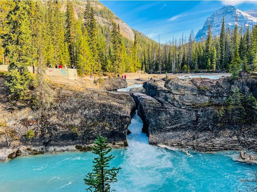 Louise, Moraine/Bow, Emerald, Peyto- 4 Lake Tour - Price and logistics: good value if you want the hit list