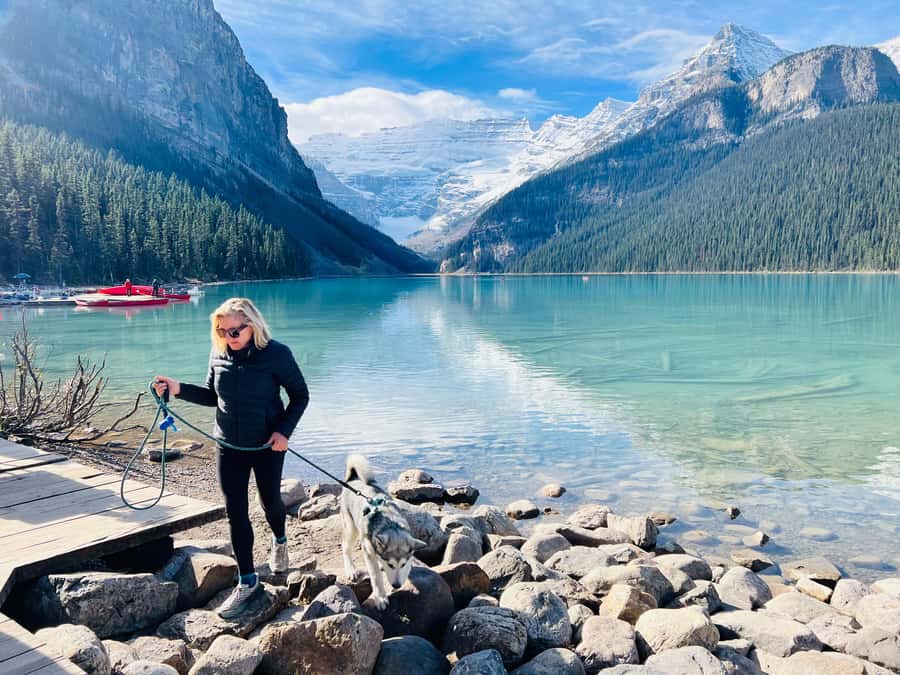 Louise, Moraine/Bow, Emerald, Peyto- 4 Lake Tour - Moraine Lake in summer, Bow Lake in winter: know what you are seeing