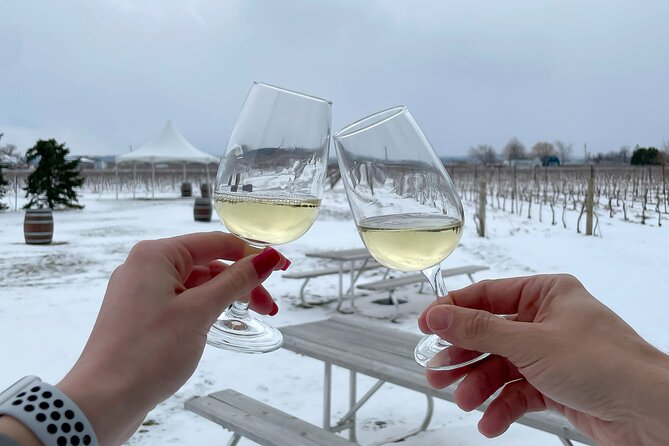 Lunch in the Vineyard: A Scenic Niagara Wine Tour Experience - Bella Terra Vineyards: patio vibes, charcuterie, and playful tasting twists