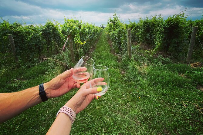 Lunch in the Vineyard: A Scenic Niagara Wine Tour Experience - Guide Karen and the small-group pace: why the day feels friendly